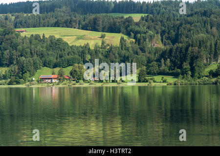 Großer Alpsee See in der Nähe von Bühl, Allgäu, Bayern, Deutschland Stockfoto