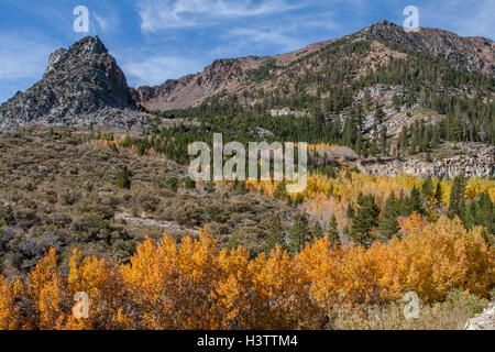 Farben des Herbstes auf der Ostseite der Sierras, Tioga Pass in der Nähe von Lee Vining und Mono Lake in Kalifornien hinauf. Stockfoto