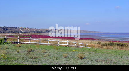 Kuyalnik-Mündung in der Nähe von Odessa in der Ukraine Stockfoto