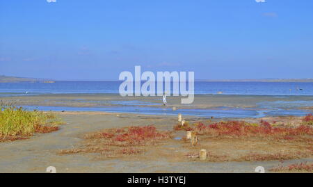 Kuyalnik-Mündung in der Nähe von Odessa in der Ukraine Stockfoto