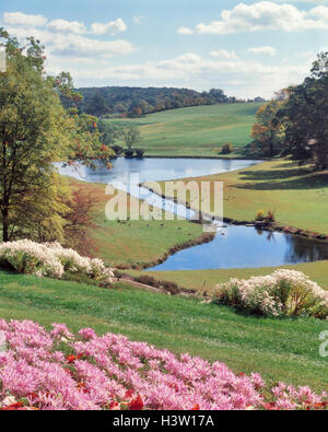 HERBST KROKUS IM VORDERGRUND WINTERTHUR GARTEN DELAWARE Stockfoto