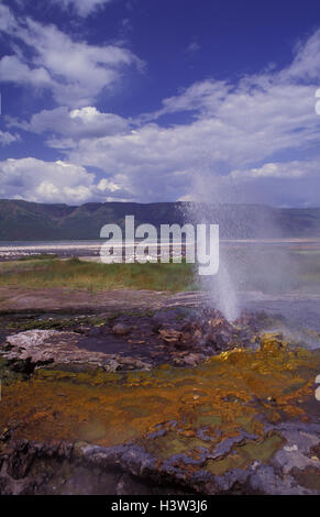 Lake Bogoria, Natron-See mit heißen Quellen und Geysiren, Stockfoto