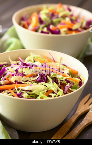 Frischer Krautsalat, ein Salat aus zerkleinerten roten und weißen Kohl und Karotten, in weißen Schalen serviert Stockfoto