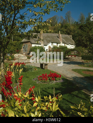 Großbritannien, England, Devon, Cockington, Wohnhaus, Garten, Europa, Südwesten schmale Land Cornwall, Torquay, gutes Haus, Strohdach, Gebäude, Hütte, Vorgarten, Garten, Park, Blumen, Bäume, Ende Sommer Stockfoto