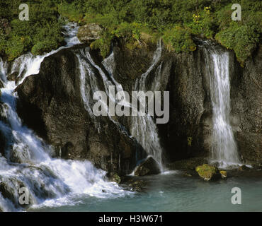 Island, Borgarfjardarsysla, Hraunfossa Wasserfälle, Europa, Insel, Island, West Island, Hraunfossar, Ort von Interesse, Fluss, Gewässer, Abgrund, Lava-Gestein, Lava-Gestein, Lava Wasserfälle, Natur, Kraft der Natur, Schauspiel Natur, Ort von Interesse, Wasserfall, w Stockfoto