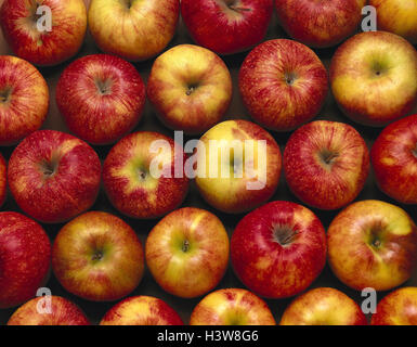 Äpfel, Cox orange, Nahaufnahme, Apfel, rot, gelb, Frucht, Früchte, Malus, Kernobst, Apple Art, gesund, reich an Vitamine, Vitamine, Ernährung, Essen, Essen, Stilleben, Detail Stockfoto