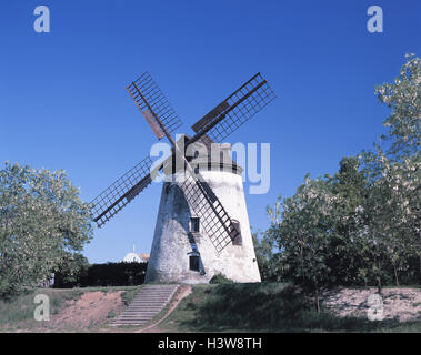 Österreich, Burgenland, neue Kolonisten See, Dorf Gesamtverkehrsaufkommens, Windmühle, Europa, Bundesland, Ostösterreich, Saison, Frühling, Landschaft Stockfoto