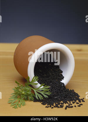 Schiff, Schwarzkümmel, Nigella Sativa, Samen, Blätter, Heilpflanzen, Heilpflanzen, trocken, Ton Spitze heraus, Stillleben, Kräuter, Natur-Drogen, Gewürzpflanze, spice Pflanzen, Produktfotografie Stockfoto