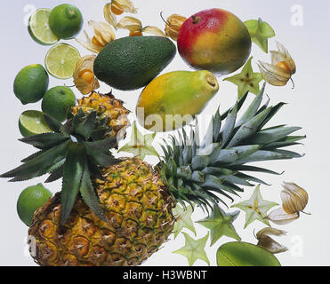 Tropische Früchte, Stillleben, Obst, Obst sortiert, exotische, Früchte, Südfrüchte, Ananas, Limette, Mango, Papaya, Avocado, Karambole, Physalis, Ernährung, Lebensmittel, Vitamine, gesund, kalorienarm, reich an Vitaminen, Gesundheit Stockfoto