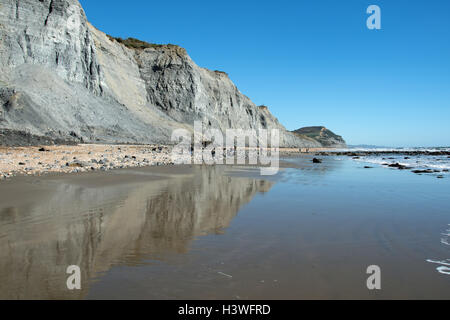 Fossilen Jäger an der Welt berühmten Jurassic Küste zwischen Charmouth und goldene Kappe, Dorset. Stockfoto