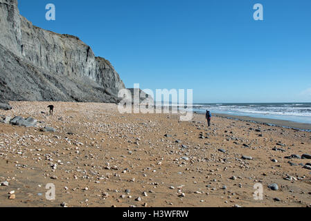 Fossilen Jäger an der Welt berühmten Jurassic Küste zwischen Charmouth und goldene Kappe, Dorset. Stockfoto