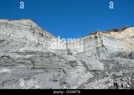 Die hervorragende, weltbekannte bereichert fossilen Klippen und Meer bei Charmouth, Dorset, England. Stockfoto