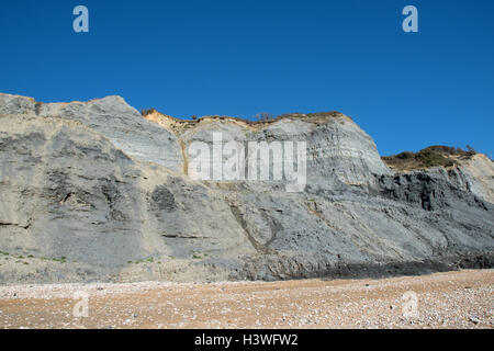 Die hervorragende, weltbekannte bereichert fossilen Klippen und Meer bei Charmouth, Dorset, England. Stockfoto