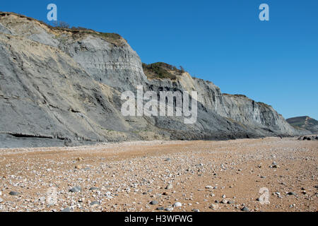 Die hervorragende, weltbekannte bereichert fossilen Klippen und Meer bei Charmouth, Dorset, England. Stockfoto