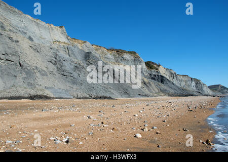 Die hervorragende, weltbekannte bereichert fossilen Klippen und Meer bei Charmouth, Dorset, England. Stockfoto