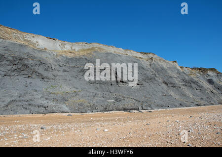 Die hervorragende, weltbekannte bereichert fossilen Klippen und Meer bei Charmouth, Dorset, England. Stockfoto