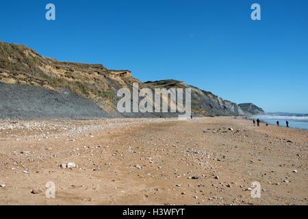 Fossilen Jäger an der Welt berühmten Jurassic Küste zwischen Charmouth und goldene Kappe, Dorset. Stockfoto