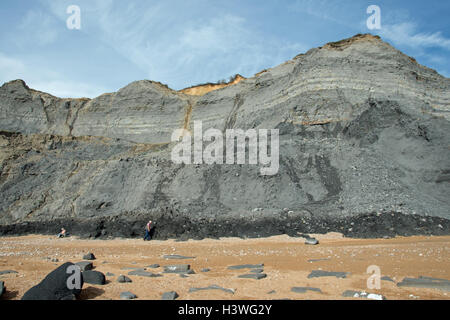 Die hervorragende, weltbekannte bereichert fossilen Klippen und Meer bei Charmouth, Dorset, England. Stockfoto