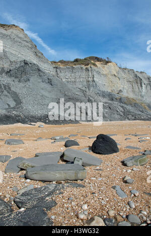 Die hervorragende, weltbekannte bereichert fossilen Klippen und Meer bei Charmouth, Dorset, England. Stockfoto