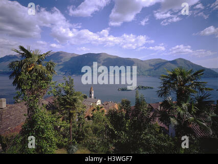 Schweiz, Tessin, Ronco Sopra Ascona, lokale Ansicht, Lago Maggiore, Brissago Inseln, Übersicht, Europa, Kanton, Ronco, Dorf, Ort, Platz, Ortskern, Blick auf die Stadt, Turm, See, mediterranes Klima, Vegetation, mediterran, Hintergrund, Mountain la Stockfoto