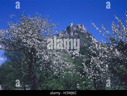 Österreich, Kärnten, Burg hohen Ostern Witz, blühende Obstbäume, Stockfoto