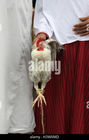 Dhaka, Bangladesch. 12. Oktober 2016. Muslim in Bangladesch zusammen mit denen in anderen Teilen der Welt beobachten Ashura am 12. Oktober 2016 Dhaka, Bangladesh. Ashura markiert den Höhepunkt der Erinnerung von Muharram, wenn Schiiten gedenken die Tötung der Prophet Mohammad Enkel Imam Hussein ibn Ali 680 n. Chr. in der Schlacht von Kerbela. Am ersten Tag von Muharram belagerte die Armee des Kalifen Yazid Hussein und seine Anhänger in der Wüste in der Nähe von Kerbela. Hussein wurde 10 Tage später in der Schlacht getötet, nachdem er sich geweigert hatte, Eid zu Yazid zu verpfänden. Bildnachweis: ZUMA Press, Inc./Alamy Live Stockfoto