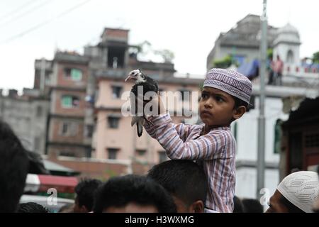 Dhaka, Bangladesch. 12. Oktober 2016. Muslim in Bangladesch zusammen mit denen in anderen Teilen der Welt beobachten Ashura am 12. Oktober 2016 Dhaka, Bangladesh. Ashura markiert den Höhepunkt der Erinnerung von Muharram, wenn Schiiten gedenken die Tötung der Prophet Mohammad Enkel Imam Hussein ibn Ali 680 n. Chr. in der Schlacht von Kerbela. Am ersten Tag von Muharram belagerte die Armee des Kalifen Yazid Hussein und seine Anhänger in der Wüste in der Nähe von Kerbela. Hussein wurde 10 Tage später in der Schlacht getötet, nachdem er sich geweigert hatte, Eid zu Yazid zu verpfänden. Bildnachweis: ZUMA Press, Inc./Alamy Live Stockfoto