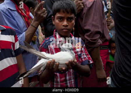 Dhaka, Bangladesch. 12. Oktober 2016.  Ein Junge mit Taube Join in eine religiöse Kundgebung während der Feier des Tages Ashura am 10. Muharram, dem ersten Monat des islamischen Mondkalenders in Dhaka. Der Höhepunkt des Moharram ist das Ashura-Festival, zum Gedenken an das Martyrium des Imam Hussein, ein Enkel des Propheten Mohammed in der irakischen Stadt Kerbela im siebten Jahrhundert. Bildnachweis: K M Asad/ZUMA Draht/Alamy Live-Nachrichten Stockfoto