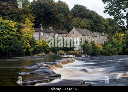 River Tees, Barnard Castle, Teesdale, County Durham UK.  Donnerstag, 13. Oktober 2016, UK Wetter.  Die ersten Anzeichen des Herbstes sind auf den Bäumen rund um Erziehungsunterrichten Mühle am Fluss Tees in Barnard Castle, wie kühle und regnerisch Bedingungen im Norden Englands weiter erscheinen. Bildnachweis: David Forster/Alamy Live-Nachrichten Stockfoto