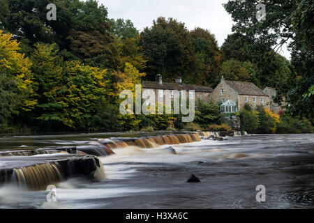 River Tees, Barnard Castle, Teesdale, County Durham UK.  Donnerstag, 13. Oktober 2016, UK Wetter.  Die ersten Anzeichen des Herbstes sind auf den Bäumen rund um Erziehungsunterrichten Mühle am Fluss Tees in Barnard Castle, wie kühle und regnerisch Bedingungen im Norden Englands weiter erscheinen. Bildnachweis: David Forster/Alamy Live-Nachrichten Stockfoto