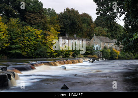 River Tees, Barnard Castle, Teesdale, County Durham UK.  Donnerstag, 13. Oktober 2016, UK Wetter.  Die ersten Anzeichen des Herbstes sind auf den Bäumen rund um Erziehungsunterrichten Mühle am Fluss Tees in Barnard Castle, wie kühle und regnerisch Bedingungen im Norden Englands weiter erscheinen. Bildnachweis: David Forster/Alamy Live-Nachrichten Stockfoto