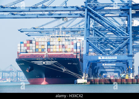 Das Containerschiff MSC Venedig in den Hafen von Felixstowe entladen wird. Felixstowe, Suffolk, England, UK Stockfoto