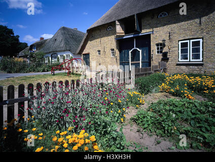 Deutschland, Schleswig - Holstein, Süderstapel, Wohnhäuser, Garten Norddeutschland batch Querbalken, der friesischen Häuser, Reetgedeckt, Strohdächer, architektonischen Stil, Tradition, Blumen Stockfoto