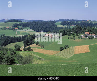 Schweiz, Kanton Bern, Emmental, Hügellandschaft, Bauernhäuser, Felder Landschaft, Feld Landschaft, Felder, Wiesen, Bereich Wirtschaft, Bereich Landschaft, grün Stockfoto