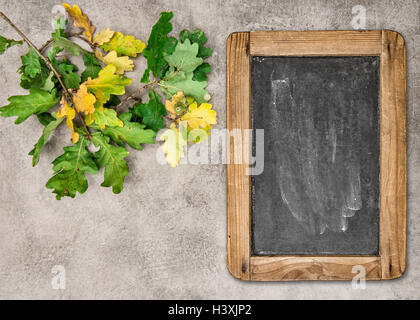 Herbst Hintergrund mit Vintage Tafel und Eichenlaub auf trashigen Steinstruktur Stockfoto