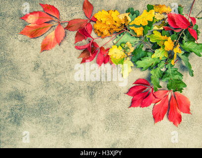 Eiche und Ahorn Herbstlaub auf trashigen Stein Hintergrund. Vintage-Stil getönten Bild Stockfoto