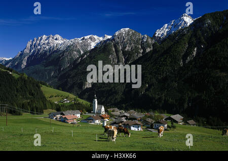 Österreich, Osttirol, Hochpustertal, Anras, lokale Ansicht, Kirche, Wiese, Kühe, Europa, Pustertal, Ort, Häuser, Wohnhäuser, Pfarrkirche, Berglandschaft, Berge, Sommer, Weide, Säugetiere, nutzen Tiere, Rinder, Rinder, Viehzucht, geeignete Stockfoto