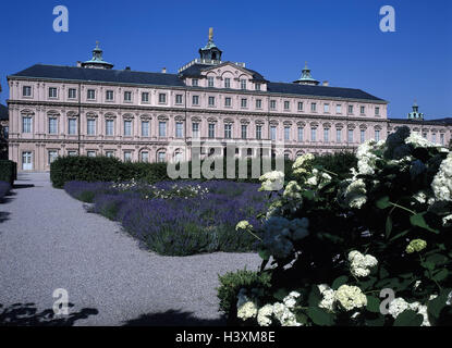 Deutschland, Baden-Wurttemberg, Rastatt, Schloss Rastatt, Schloss Garten, Hortensien, Europa, Herrenstrasse, barocke Schloss, Gebäude, Struktur, Architektur, Baustil, Barock, Kultur, Ort von Interesse, Park, Park, Blumen, Pflanzen, Sommer, schwarz F Stockfoto