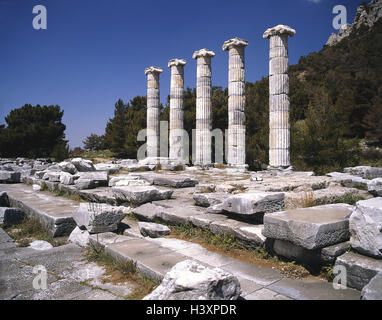 Türkei, Priene, Athena Tempel, Ruine Standort, Ruine, 'Stadtschützerin', Athena Polias in 350-330 v. Chr., Säulen, ionisch, Ruine Stadt, Ausgrabungen, Ort von Interesse, Athenas-Tempels, Überreste, Kultur Stockfoto