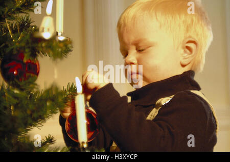 Weihnachtsbaum, junge, Weihnachtsbaum-Kugel, halbe Portrait, innen, zu Hause, Weihnachten, schmücken, Schmuck, blond, naher Baum Stockfoto