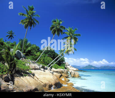 Die Seychellen, La Digue, Anse Severe, Küste, Granitfelsen, Palmen, Indischer Ozean, Insel, Galle Küste, Felsen, Steinen, Granit, Sand, sandigen Strand, Vegetation, Meer, Ferienparadies, Palm Beach, Urlaub, Erholung, Traumurlaub Stockfoto