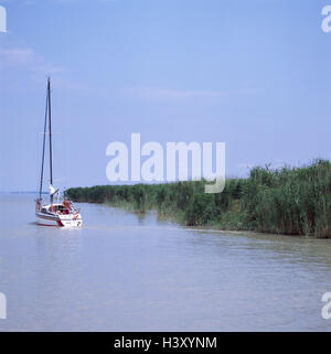 Österreich, Burgenland, Mörbisch, neue Kolonisten See, Segelboote, Europa, Steppensee, Boot, Bootsfahrt, Freizeit, Urlaub, Segel, Ausflug, Schiff, draußen Stockfoto