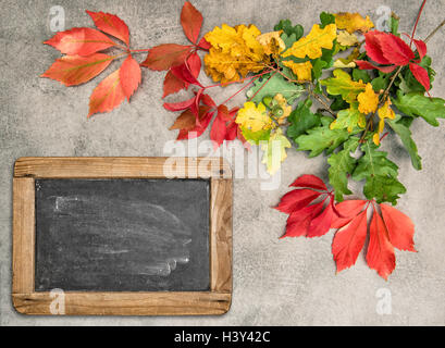 Eiche und Ahorn Herbst Herbstlaub mit Vintage Tafel auf Stein Grunge Hintergrund Stockfoto