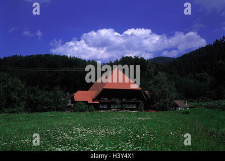 Deutschland, Schwarzwald, Gutach, Bauernhof, Haus, Wohnhaus, Bauernhaus, Walmdach, draußen, Sommer Stockfoto