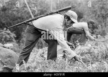 CHALATENANGO, EL SALVADOR, FEB 1984: - innerhalb der FPL Guerilla Zonen der Steuerung ein Mitglied der Miliz PPL arbeiten auf einem Grundstück, das den Anbau von Nahrungsmitteln. Stockfoto