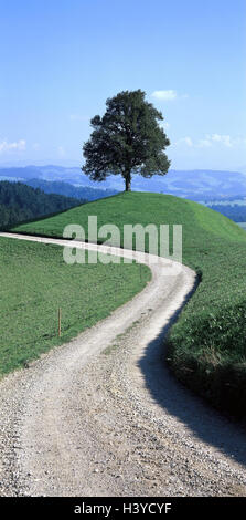 Schweiz, Kanton Bern, Emmental, Landschaft, Hügel, Baum, Weg, Natur, Ruhe, Einsamkeit, Stille, Abgeschiedenheit, Aussichtsturm, Kies Weg Stockfoto