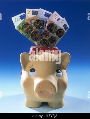 Sparschwein, Banknoten, Münzen, Euro, Studio, Stillleben, Produktfotografie, Wirtschaft Zinn, kleines Sparschwein, sparen, Euro, Währung, Währungseinheit, Einheitswährung, Schutztechniken, Geld, Notizen, Banknoten, hartes Geld, Wechsel, bedeutet Zahlung, europäisch, Vorsorge Stockfoto