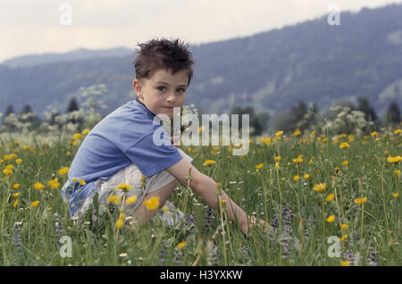 Wiese, Kind, junge, Blumen Pick, Seitenansicht, Blumenwiese, Frühlingswiese, Frühlingsblumen, Blumenstrauß, Aktivität, Überraschung, Frühling Stockfoto