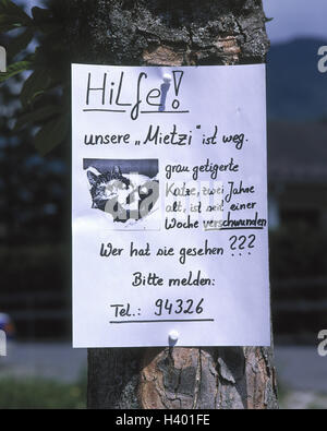 Stamm, Suche Plakat, "Katze Umfragen", Baum, Stamm, Zettel, fehlende Person den Bericht, Haustier, Hauskatze, Lauf Weg, verschwunden, Suche, Aufmerksamkeit, Unterstützung, schauen Sie herum, Suchvorgang, materielle Aufnahme Stockfoto