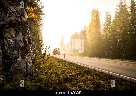 Morgennebel und Traktor in norwegische Waldkatzen im Herbst Stockfoto